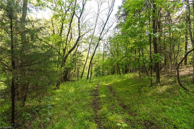 view of nature featuring a view of trees