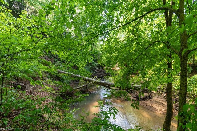 view of local wilderness