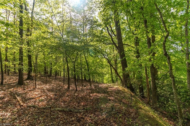 view of landscape with a wooded view