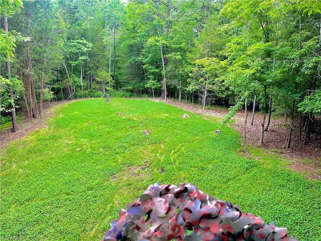 view of yard with a forest view