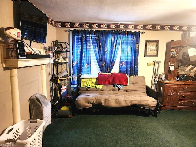 living area with carpet floors