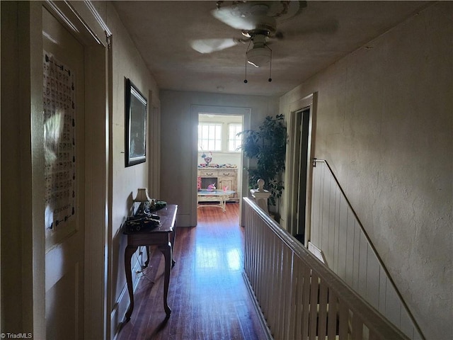 hallway with dark wood finished floors