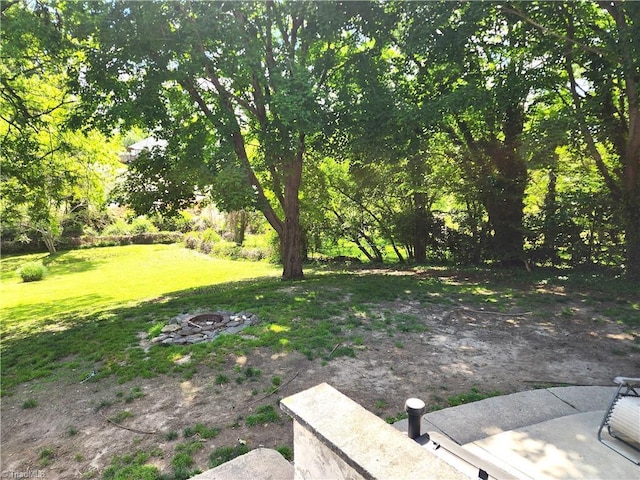 view of grassy yard
