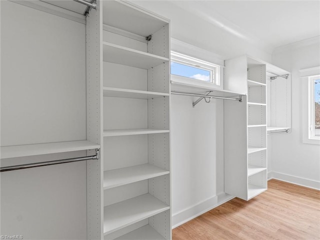 spacious closet featuring light wood-type flooring