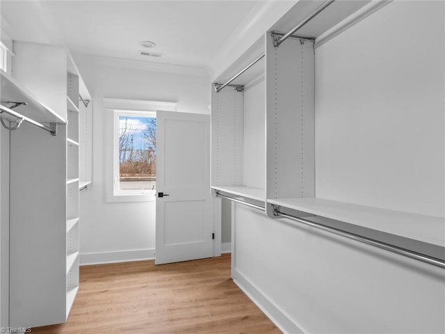 spacious closet featuring light hardwood / wood-style flooring