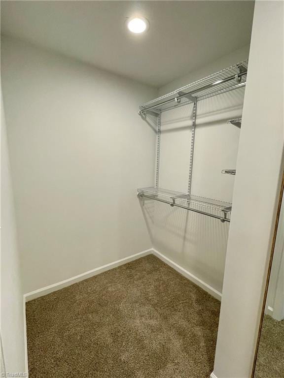 319 E 3rd Ave Extension, Lexington, NC 27292 - spacious closet with carpet floors