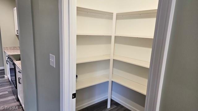 319 E 3rd Ave Extension, Lexington, NC 27292 - view of pantry