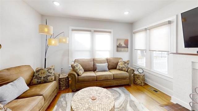 living room featuring a healthy amount of sunlight and light hardwood / wood-style floors