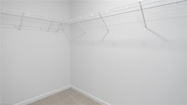 2124 Monk Dr, Haw River, NC 27258 - walk in closet with carpet floors