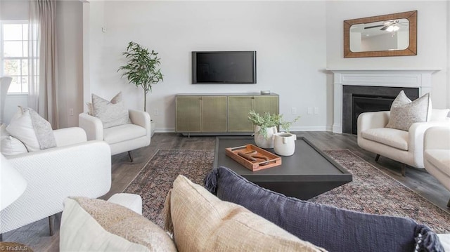 living room with baseboards, wood finished floors, and a fireplace