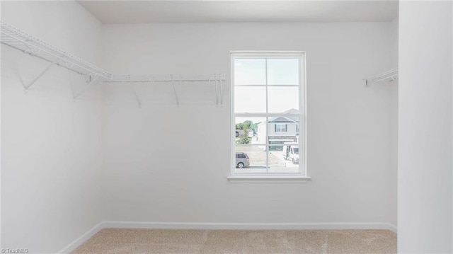 spacious closet with carpet flooring