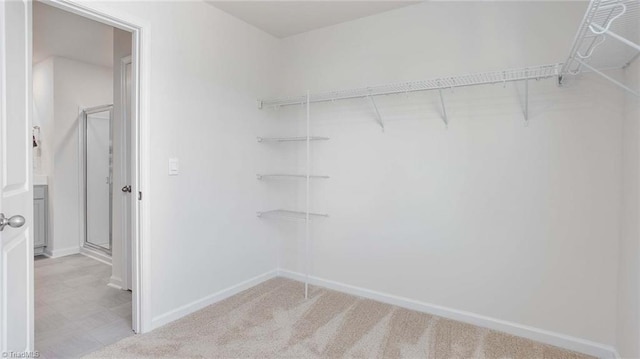 spacious closet featuring light carpet