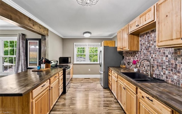 407 Pinedale Dr, Reidsville, NC 27320 - kitchen featuring appliances with stainless steel finishes, light wood-style flooring, ornamental molding, tasteful backsplash, and butcher block countertops