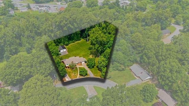 407 Pinedale Dr, Reidsville, NC 27320 - drone / aerial view of a heavily wooded area