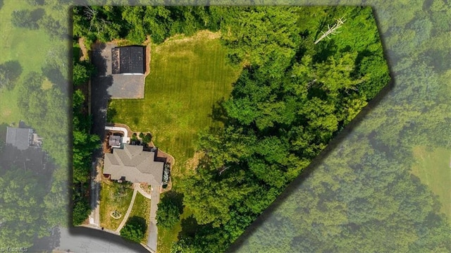 407 Pinedale Dr, Reidsville, NC 27320 - drone / aerial view