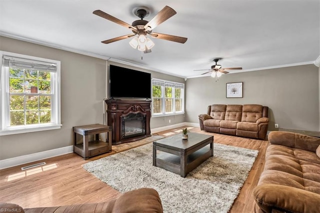 407 Pinedale Dr, Reidsville, NC 27320 - living area with crown molding, ceiling fan, wood finished floors, and a glass covered fireplace