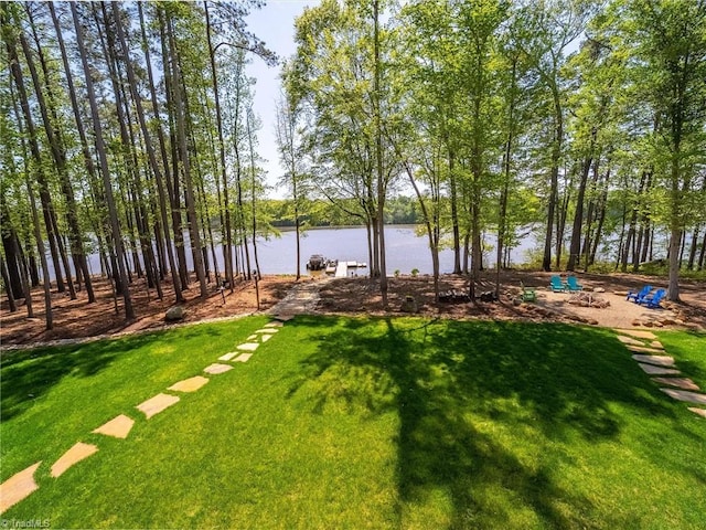 1579 Sunset Pointe Dr, Salisbury, NC 28146 - view of yard with a water view