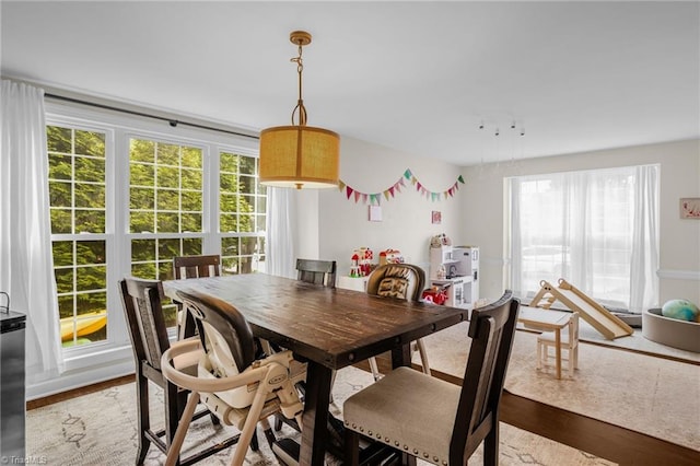 dining space featuring plenty of natural light and wood finished floors