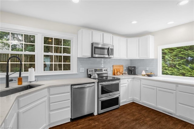 kitchen with stainless steel appliances, a sink, plenty of natural light, and recessed lighting