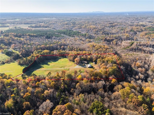 drone / aerial view