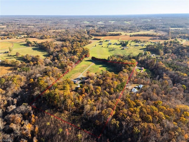 drone / aerial view