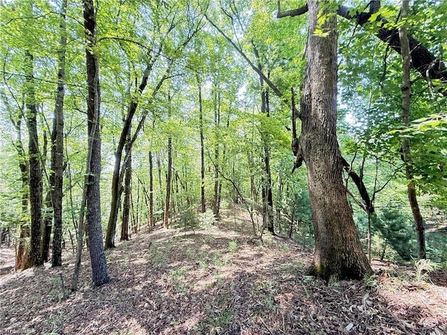 TBD Highland N Rd, North Wilkesboro, NC 28659