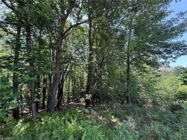 TBD Highland N Rd, North Wilkesboro, NC 28659
