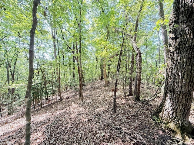 TBD Highland N Rd, North Wilkesboro, NC 28659