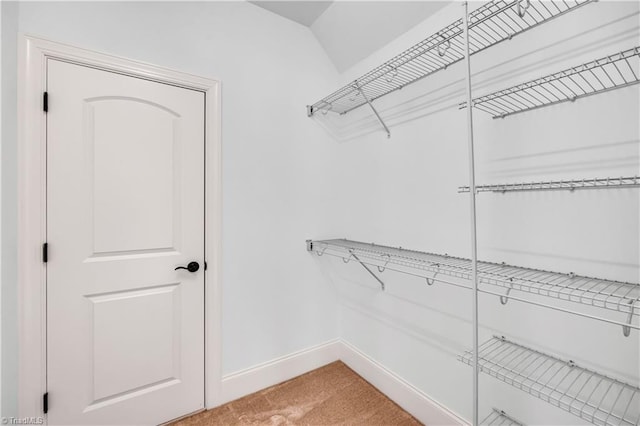 walk in closet with carpet floors