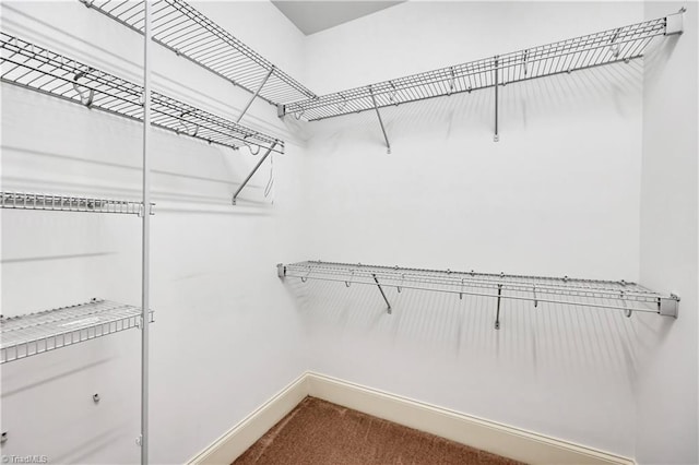 spacious closet with carpet