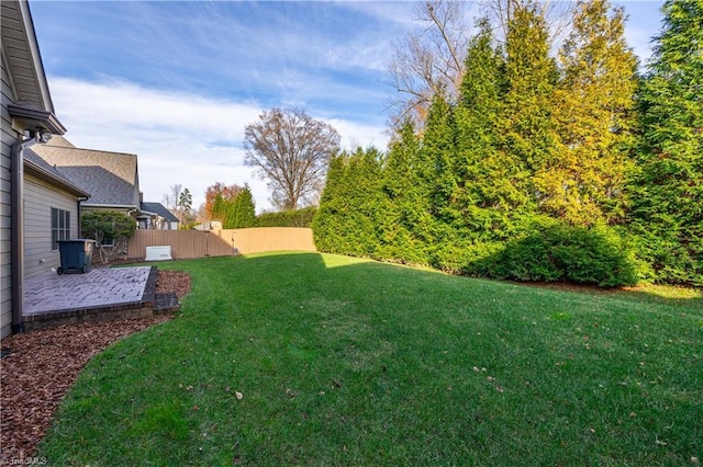 view of yard with a patio