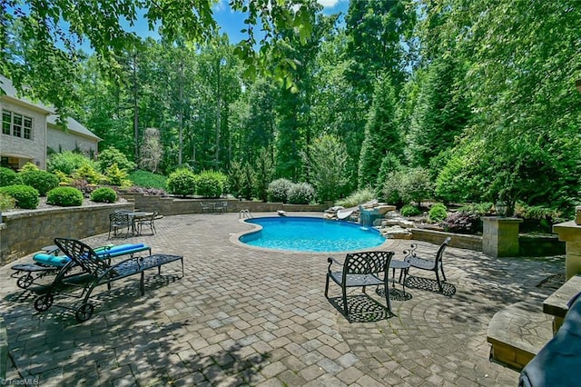 view of swimming pool with a patio area