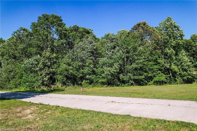 1420 Burnetts Chapel Rd, Greensboro, NC 27407 - view of road featuring a forest view