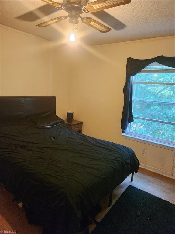 5517 Hornaday Rd Unit D, Greensboro, NC 27409 - bedroom featuring multiple windows, ceiling fan, and a textured ceiling