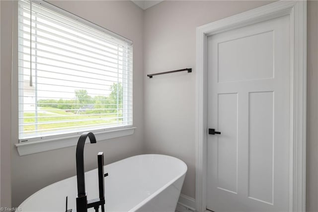 bathroom with a freestanding tub