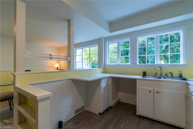 kitchen with white cabinetry, dark hardwood / wood-style floors, sink, and a wealth of natural light