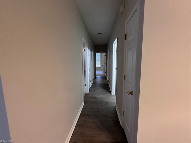 corridor with dark wood-type flooring