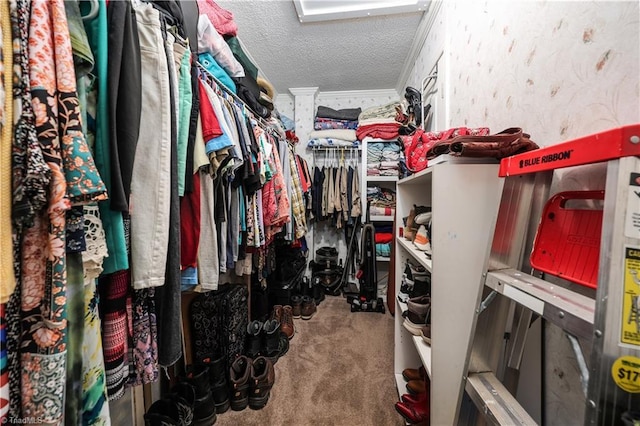 spacious closet featuring carpet flooring
