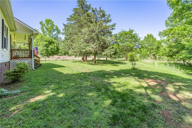 view of yard