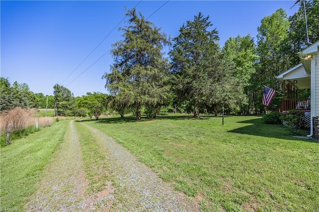 view of yard
