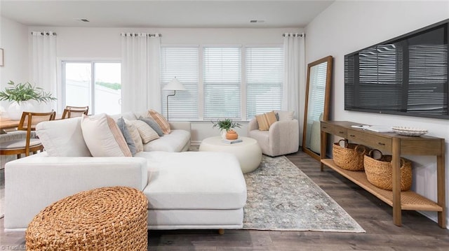 living room featuring dark wood-type flooring