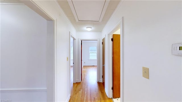 hallway with light hardwood / wood-style floors and ornamental molding