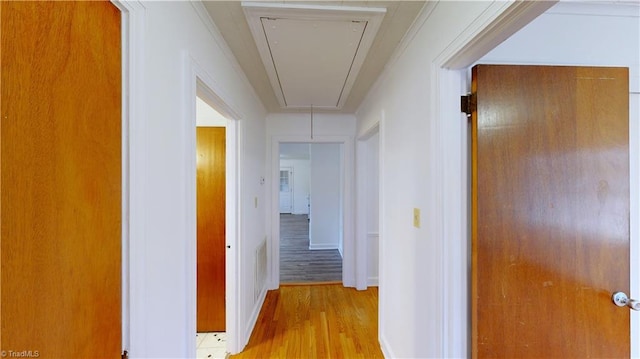 corridor featuring light wood-type flooring