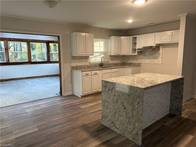 kitchen featuring a healthy amount of sunlight, white cabinets, and dark wood-type flooring