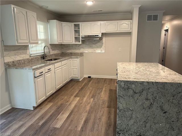 kitchen featuring white cabinetry, sink, dark wood-type flooring, and ornamental molding