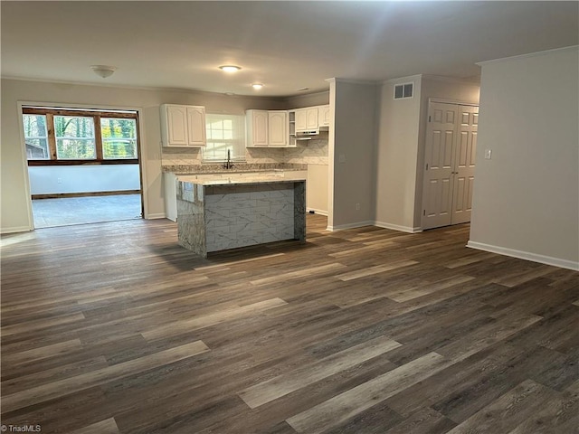 kitchen with crown molding, white cabinetry, dark wood-type flooring, and tasteful backsplash