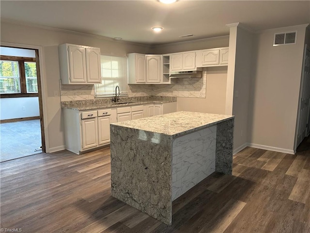 kitchen featuring plenty of natural light, white cabinets, and dark wood-type flooring