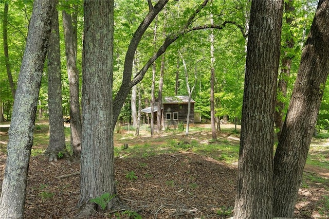 view of yard with an outdoor structure and a wooded view