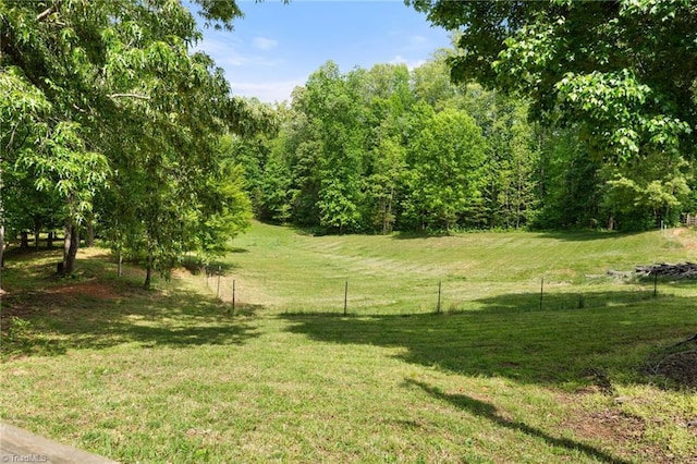 view of local wilderness