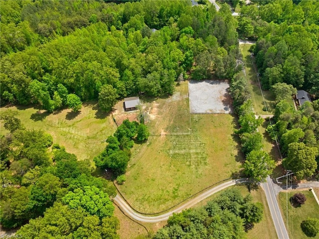 bird's eye view